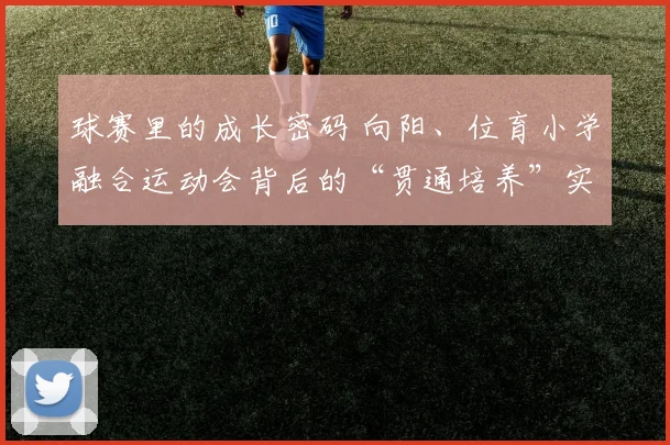 球赛里的成长密码 向阳、位育小学融合运动会背后的“贯通培养”实践