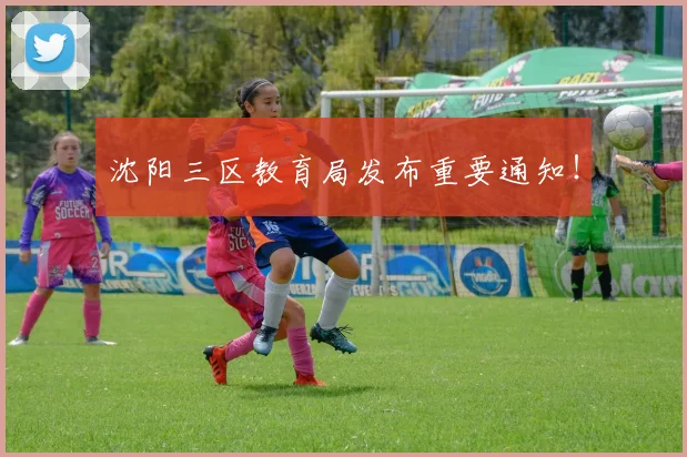 沈阳三区教育局发布重要通知！