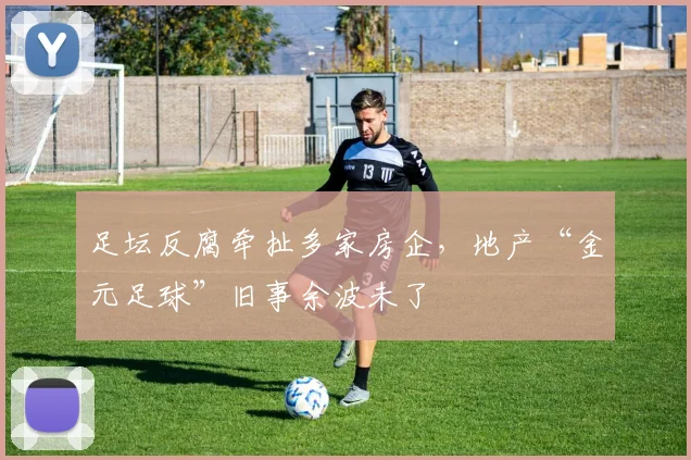 足坛反腐牵扯多家房企，地产“金元足球”旧事余波未了